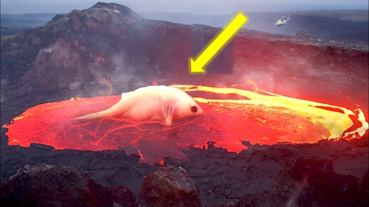 Nuclear Bombs Hindi Nuclear Bomb से भी 6 करोड़ गुना ताकतवर है ये चीज़