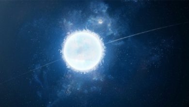 White Dwarf Star in Hindi