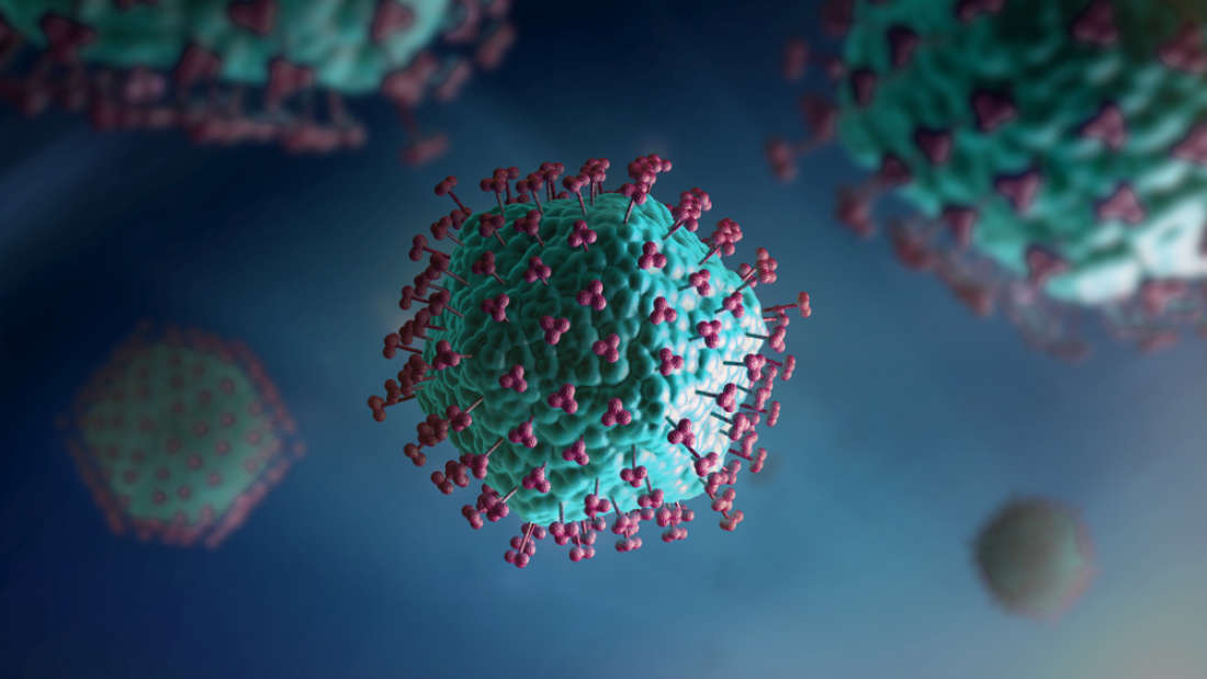 Bad Virus | वायरस से संबंधित तथ्य - Virus Facts in Hindi