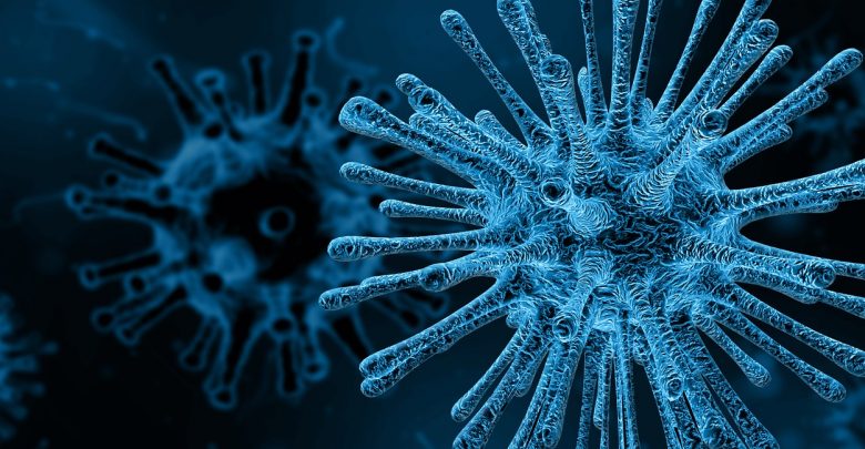 Virus | वायरस से संबंधित तथ्य - Virus Facts in Hindi