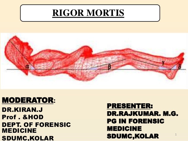 Rigor Mortis | मरने के बाद आपके साथ क्या होता है - What happens when you die?