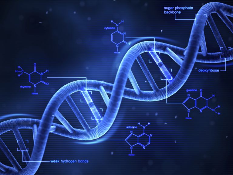 डीएनए क्या है? ये कैसे काम करता है? - DNA In Hindi