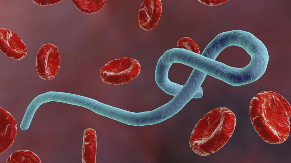 Ebola के बारे मे पूरी जानकारी|