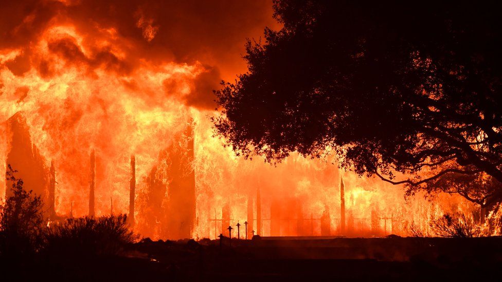 Wildfire In America - 30 साल के अंदर खत्म हो सकती है मानव सभ्यता