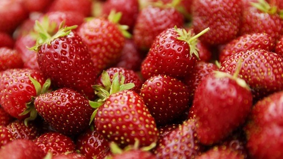 Worlds most delicious fruit - Strawberry.