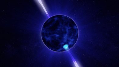 Neutron Star In Universe