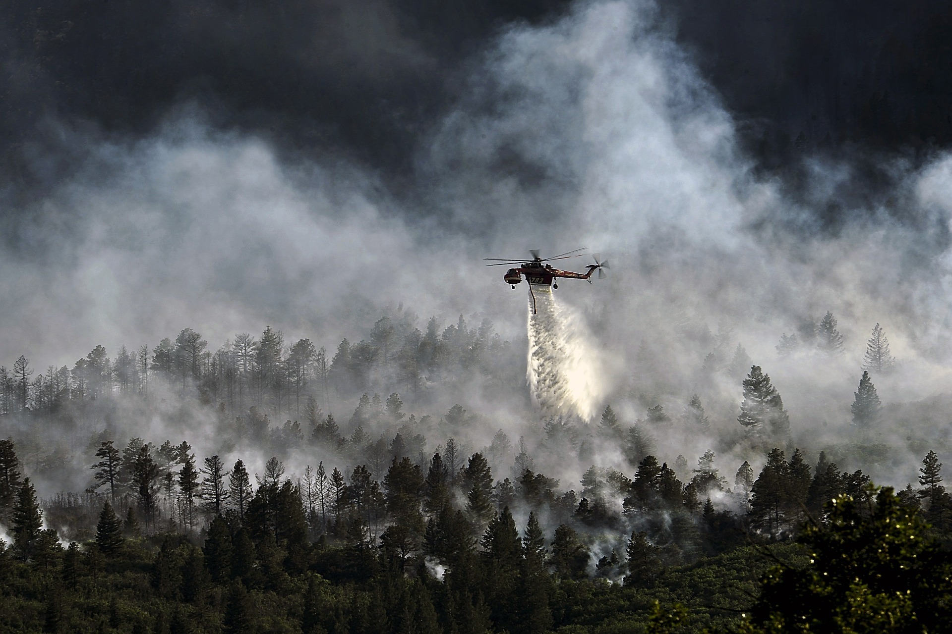 Extinguishing Amazon Rainforest Fire | अमेज़न वर्षावन की आग | Amazon Rainforest Fire in Hindi