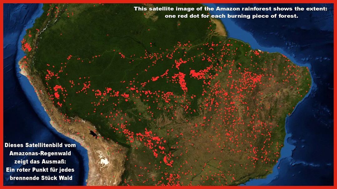 Sattelite image of Amazon Rainforest Fire | अमेज़न वर्षावन की आग | Amazon Rainforest Fire in Hindi