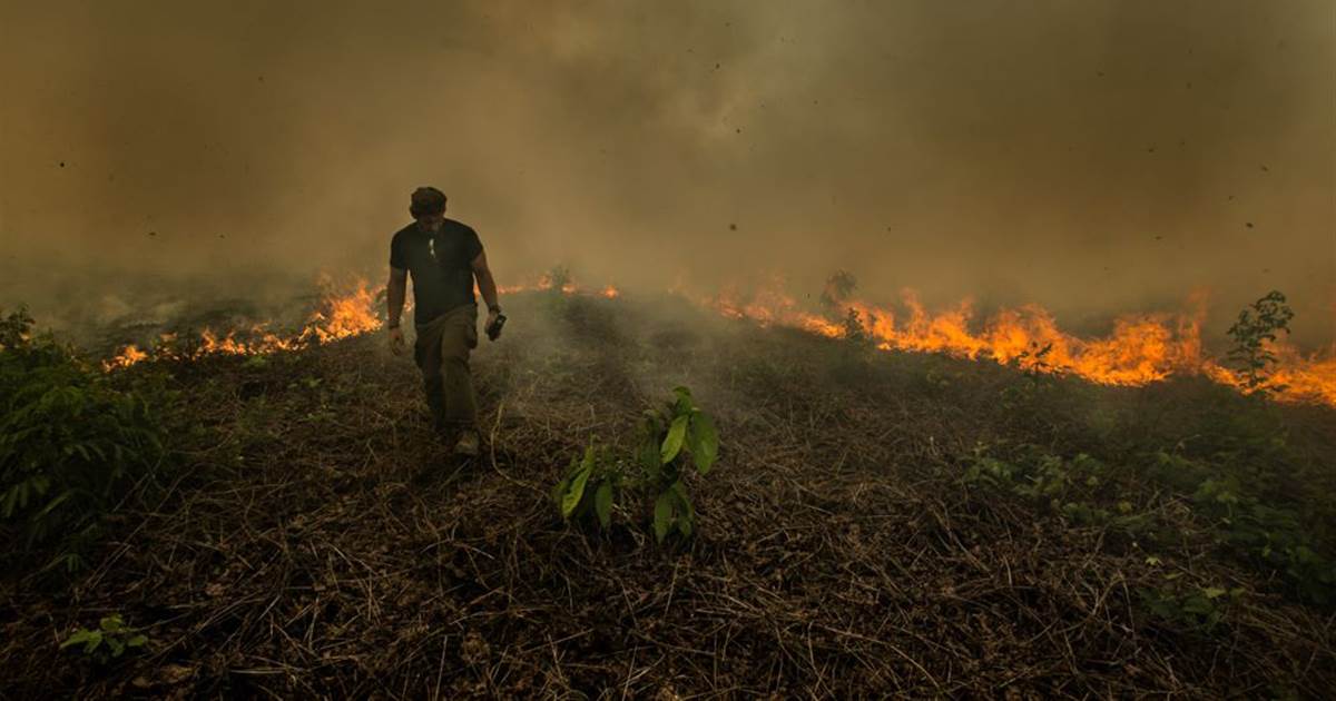 Reasons for amazon rainforest fire | अमेज़न वर्षावन की आग | Amazon Rainforest Fire in Hindi