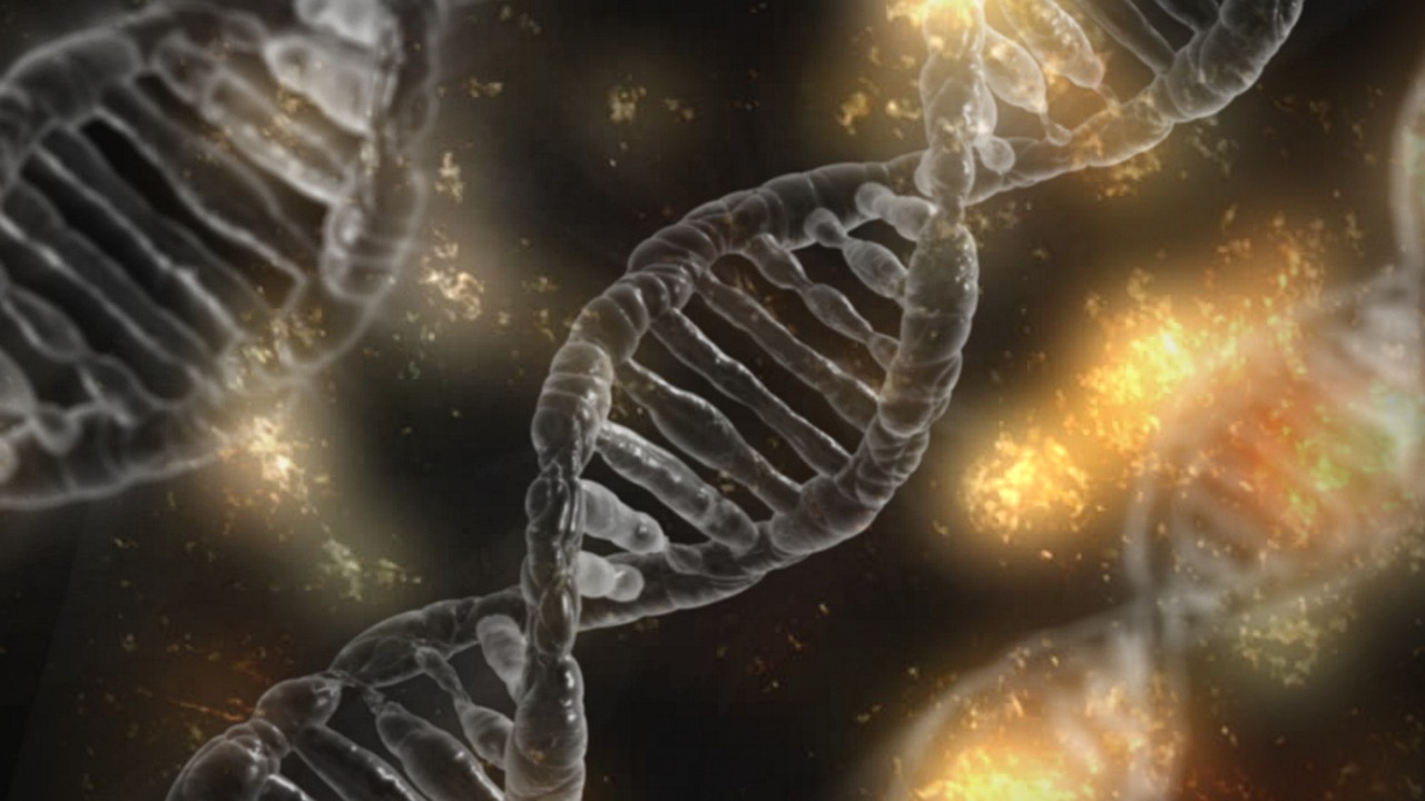 DNA Helix Model | जेनेटिक इंजीनियरिंग (Genetic Engineering in Hindi), सही या गलत?