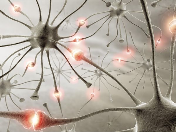 neuron synapses | एलन मस्क की न्यूरोलिंक तकनीक (NeuraLink Technology in Hindi)