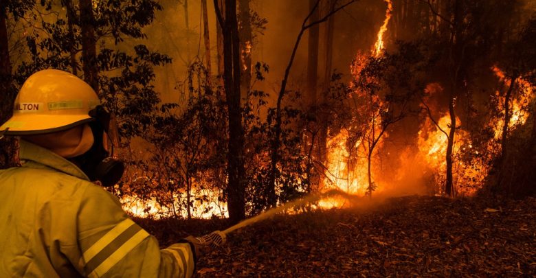 धु-धु करके जल रहे ऑस्ट्रेलिया की दुखद कहानी - Australia Fire In Hindi.