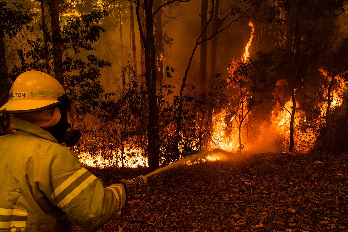 धु-धु करके जल रहे ऑस्ट्रेलिया की दुखद कहानी - Australia Fire In Hindi.