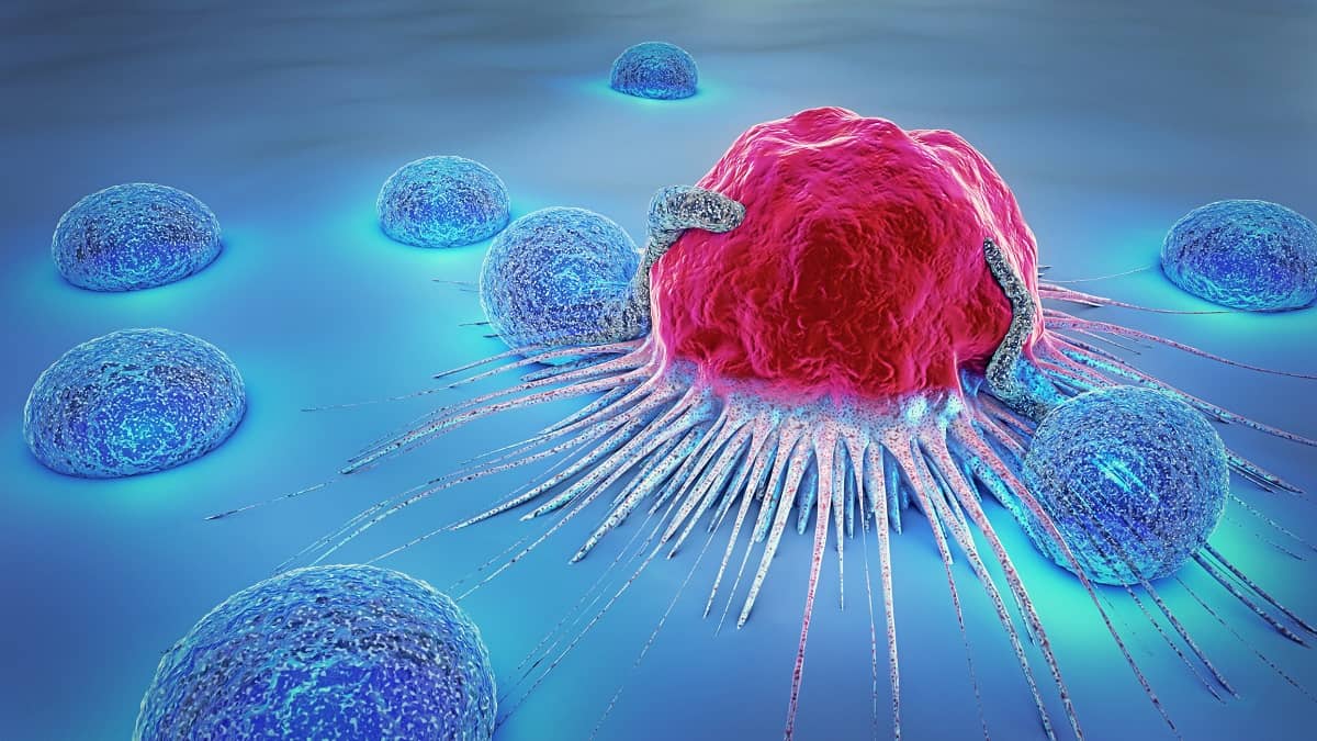 अब कैंसर को मात देगी ये कोशिका - Cancer Fighting Immune Cells Hindi