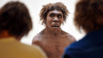 Neanderthal लोगों का इतिहास - History of Neanderthal People In Hindi