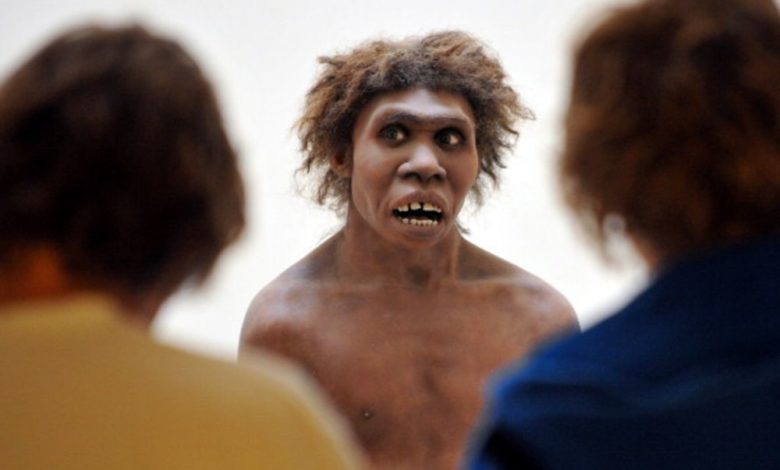 Neanderthal लोगों का इतिहास - History of Neanderthal People In Hindi