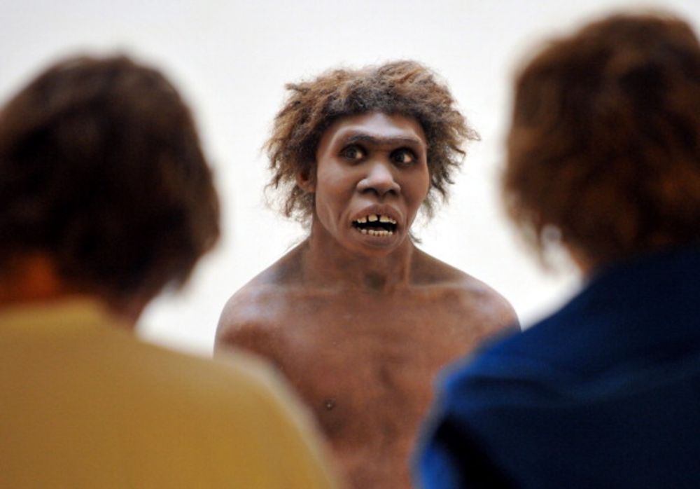 Neanderthal लोगों का इतिहास - History of Neanderthal People In Hindi