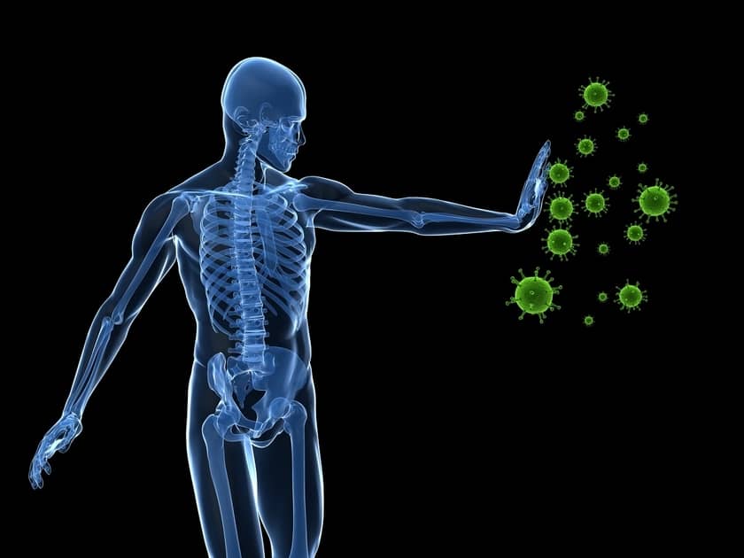 इंसानी प्रतिरक्षा प्रणाली- All About Human Immune System In Hindi