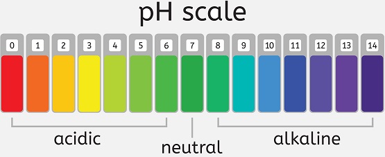 pH scale and its fucntion.