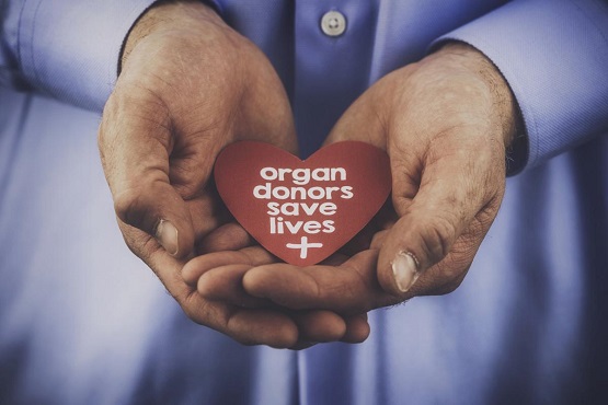 अंगदान के विषय में पूरी जानकारी - What Happens When You Are An Organ Donor.