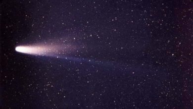 हैलि के धूमकेतु के बारे में जानकारी - Halley's Comet In Hindi.