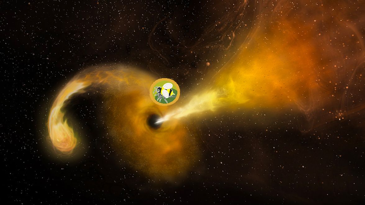 बंबल बी थियरि के बारे में पूरी जानकारी - Bumblebee Gravity In Hindi.