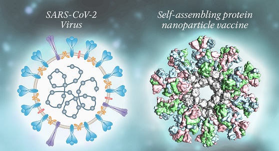 नैनोपार्टिकल से बनी वैक्सीन के बारे में पूरी जानकारी - Single Dose Nanoparticle Vaccine.