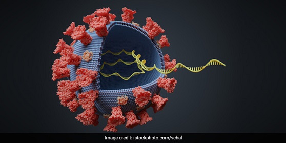 RNA exiting from corona virus.