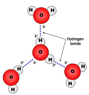 जल अणुओं की संरचना और बंधन 