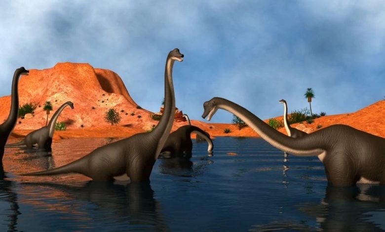 डायनासोर के बारे में पूरी जानकारी! - Tales Of Dinosaurs In Hindi