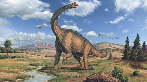 Brachiosaurs Photo.