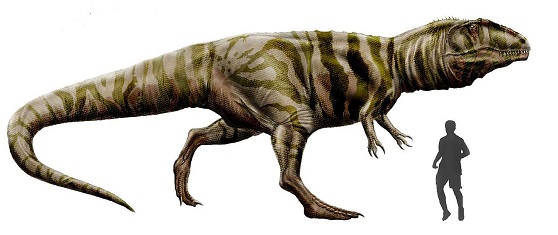 Giganotosaurus Photo.
