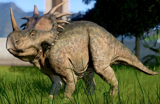 Styracosaurus Photo.