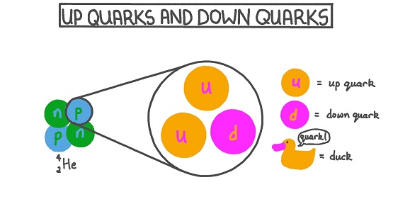 Quarks Photo.