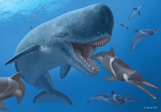 मेगालोडोन शार्क के बारे में जानकारी - Megalodon Shark Facts In Hindi.