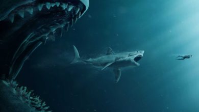 इतिहास की सबसे विशाल और ताकतवर मछली - Megalodon Shark Facts In Hindi