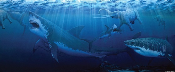 मेगालोडोन शार्क के बारे में जानकारी - Megalodon Shark Facts In Hindi.
