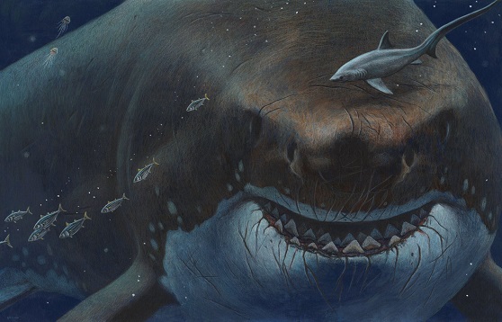 Extinction Megalododn Shark.