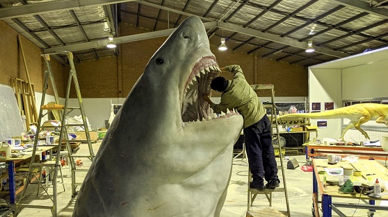 Megalodon Sharks Might beAre Alive