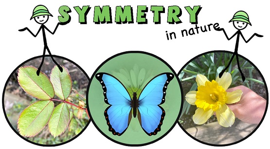 प्रकृति में समरूपता - Why Nature Favors Symmetry?