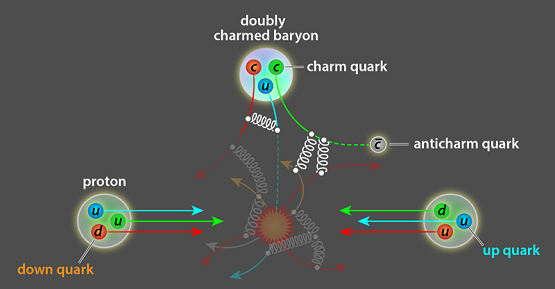 Up Down and quarks in Proton.