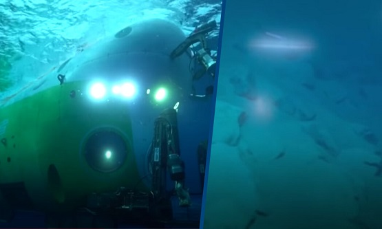 Searching Programs at deep sea.