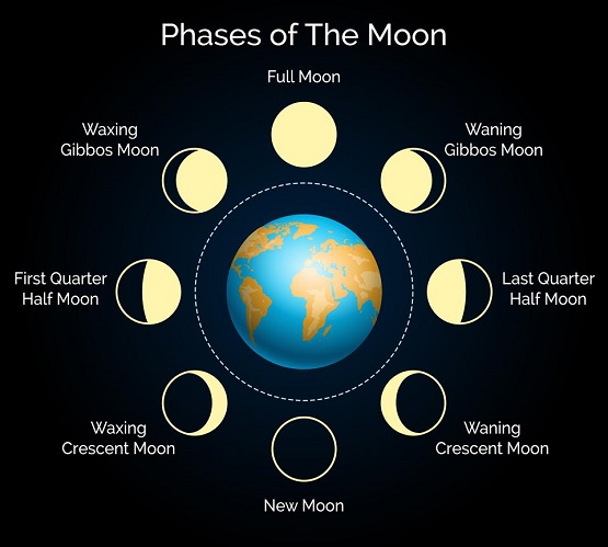 Diffrent stages of Lunar Cycle.
