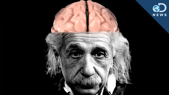 आइंस्टीन का दिमाग अब कहाँ हैं? - Where is Einstein's Brain?