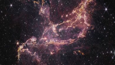 वैज्ञानिकों को मिली हमारी आकाशगंगा की खोइ हुई अपनी जुड़वा बहन! - Milky way's long-lost twin!