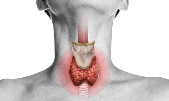 Thyroid Photo.