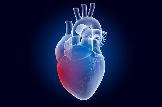 Pain in Heart concept. Ghost light effect, x-ray hologram. 3D rendering on dark blue background