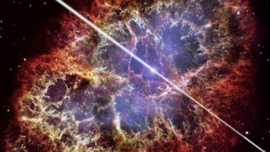 ब्रह्मांड का सबसे चमकीला और रहस्यमयी नेब्यूला "Crab Nebula"! - Crab Nebula In Hindi!