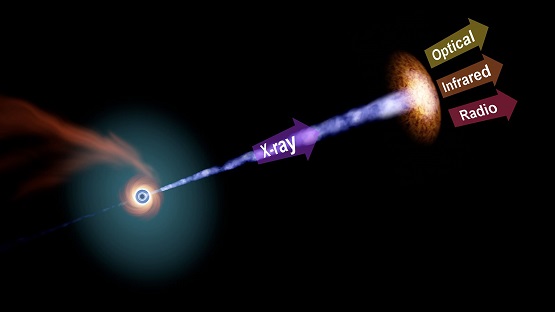 Polarization of Black Hole X ray beam.