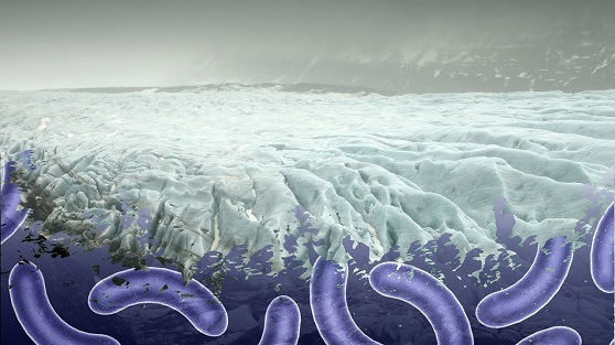 बर्फ के एक छोटे से कण से वैज्ञानिक ढूंढ सकते हैं एलियन! - Aliens In a Single Grain of Ice!